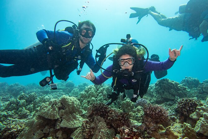 First Time Introductory Scuba Dive - What to Expect During the Dive