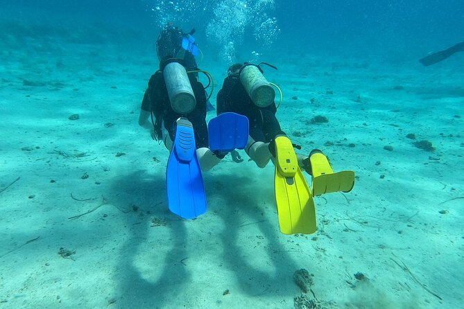 First Time Scuba Dive Adventure, Makronissos, Ayia Napa - Additional Inquiries and Support