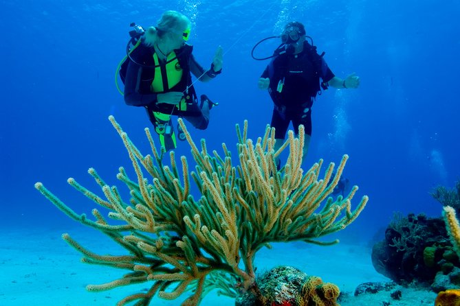 First Time Scuba Diving Experience in Punta Cana - Vibrant Coral Reefs Exploration