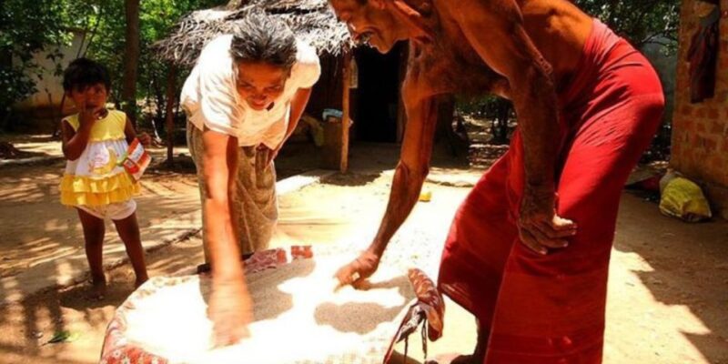 Fish, Cook & Enjoy a Sri Lankan Lunch at a Village House - Itinerary Highlights