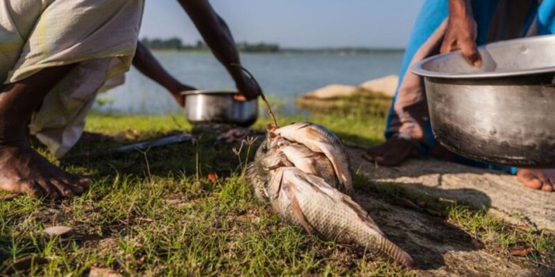 Fish, Cook & Enjoy a Sri Lankan Lunch at a Village House - Traditional Lake Fishing