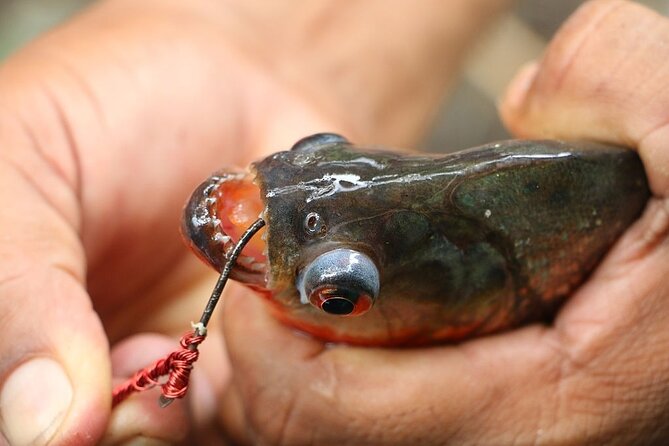 Fish in the Amazon River - Remote Fishing Locations in the Amazon