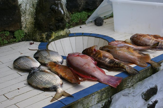 Fish In the Azores - Meal and Beverage Inclusions