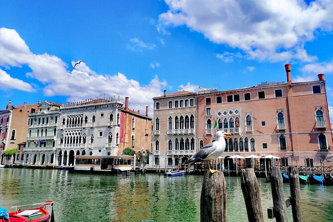Fish Shopping in Rialto and Home Cooking in Murano - Dessert: Moka Coffee and Liquors