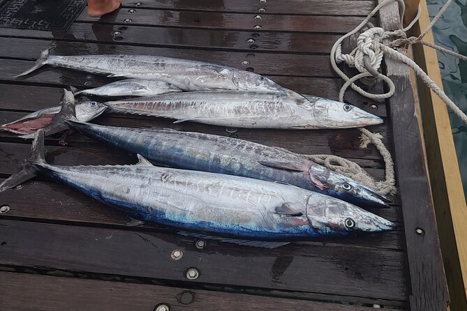 Fishing Activity in Oranjestad - Planning Your Fishing Adventure