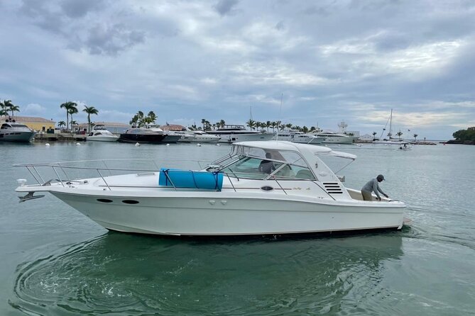 Fishing And Eating Straight From The Sea ( SAONA ISLAND AND PALMILLA) - Private Tour Experience