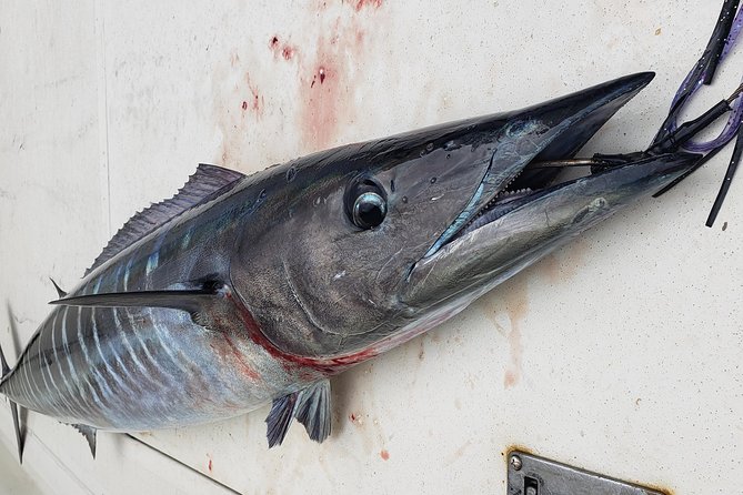 Fishing Charter 10 Hours - Pricing and Booking Details
