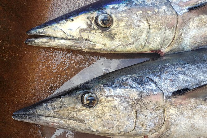 Fishing Charter 8 Hours - Exploring the Bonaire Fishing Grounds