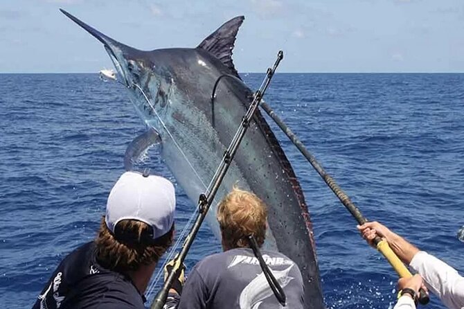 Fishing Charter Half Day From Punta Cana - Confirmation and Additional Info