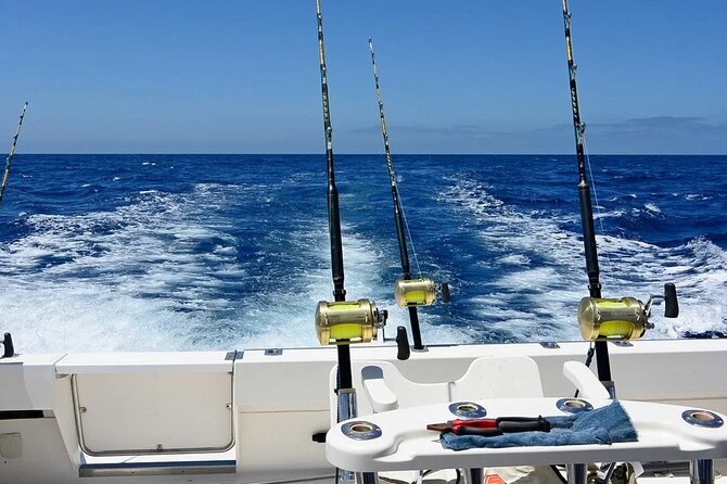 Fishing Charter Half Day From Punta Cana - Booking Your Stay