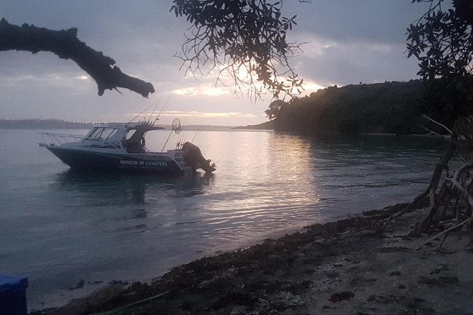 Fishing Charter - Hauraki Gulf - Customizable Fishing Experiences