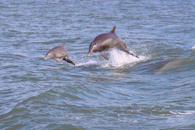 Fishing Charter in Virginia Beach - Expectations and Additional Considerations