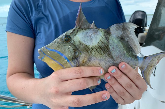 Fishing Charters, and Wildlife Tours and Merchandise - Inclusive Tour Amenities