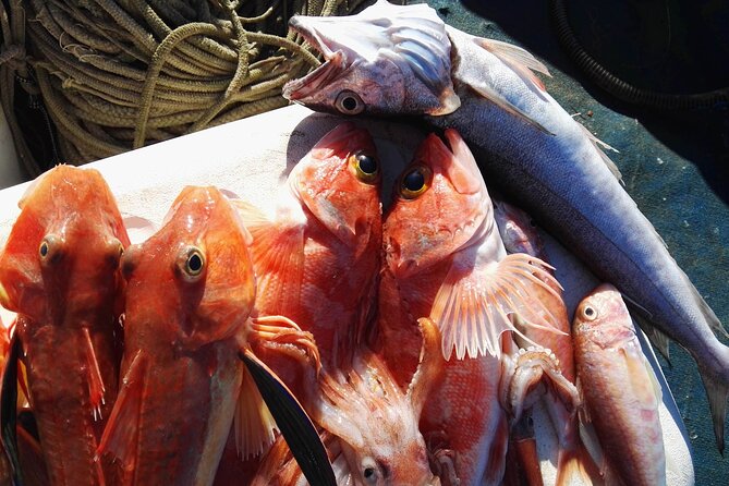 Fishing Experience Around Capri From Sorrento With Lunch Onboard - Regulations and Fees