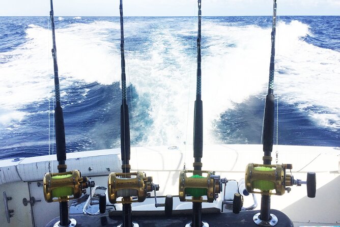 Fishing Fisherman From Punta Cana - About Your Stay