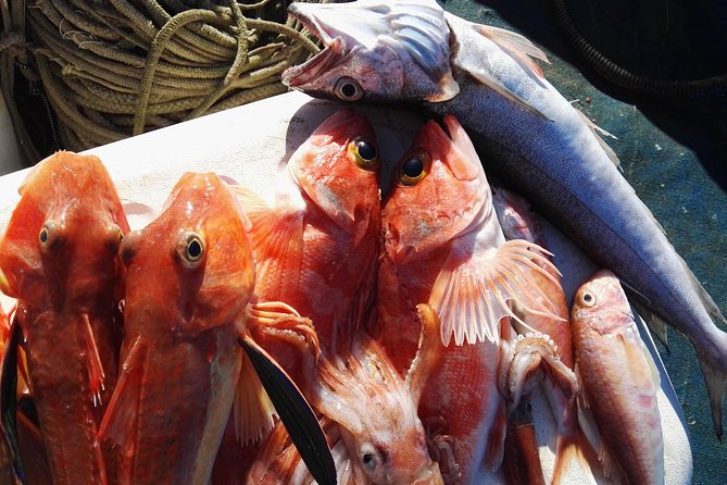 Fishing in the Bay of Sorrento and Capri - Customer Support and Booking Information