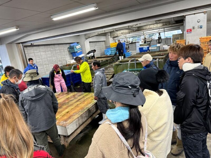 Fishing on a Fishing Boat & Bottom Trawl Tour - Key Points