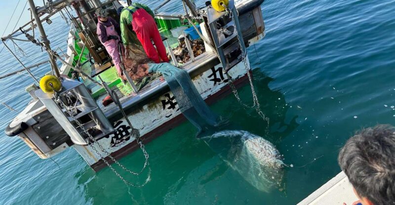 Fishing on a Fishing Boat & Bottom Trawl Tour - Tour Itinerary