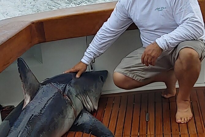 Fishing or Cruising Boston Harbor on Private Yacht Trinacria - Frequently Asked Questions