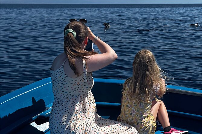 Fishing, Snorkelling & Dolphin Boat Tour - Transportation Options