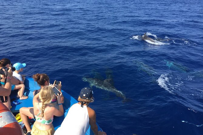Fishing, Snorkelling & Dolphin Boat Tour - Participant Requirements