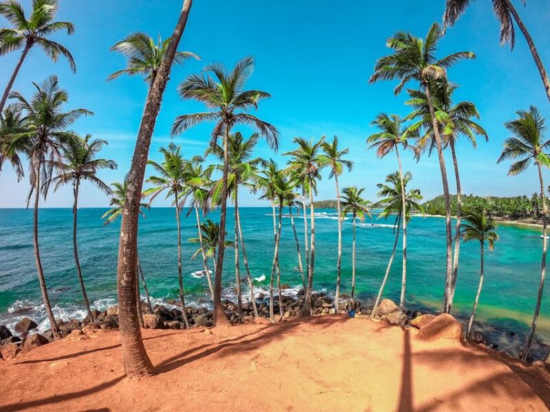 Fishing Tour in Mirissa - Pickup and Drop-off Arrangements