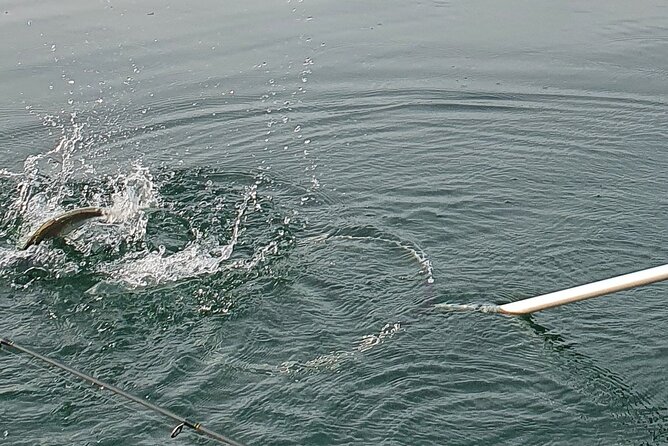 Fishing Tour With a Fishing Boat at Lake Constance (Untersee) - Product Code for Reference