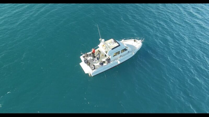 Fishing Trip All Included - Duration and Capacity Details