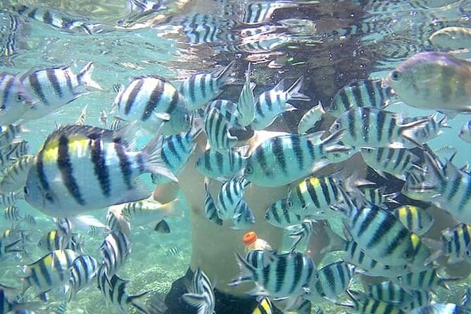 Fishing Trip Pick Up From Kuta Lombok - Overview of the Fishing Adventure