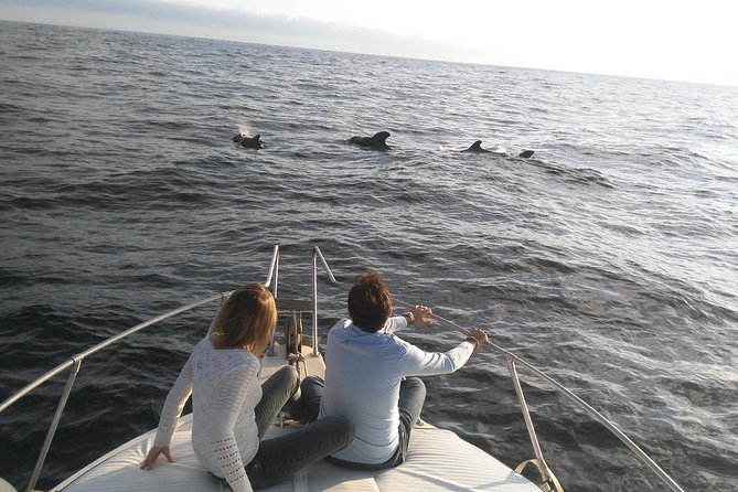 Fishing Trip, Tenerife Sea Passion - Fishing Opportunities