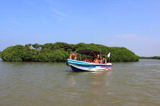 Fishing Village & Mangrove Tour Experince at Negombo (Starting From Colombo) - Pricing and Availability
