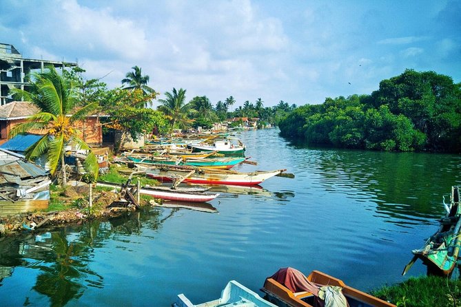 Fishing Village & Mangrove Tour Experince at Negombo (Starting From Colombo) - Included Experiences