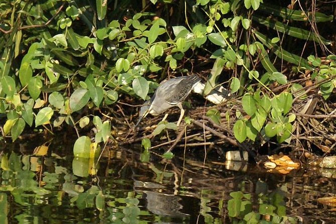Fishing Village & Mangrove Tour Experince at Negombo (Starting From Colombo) - Additional Details