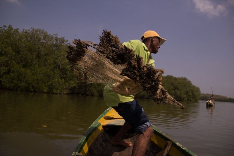 Fishing With Locals - Fishing Experience