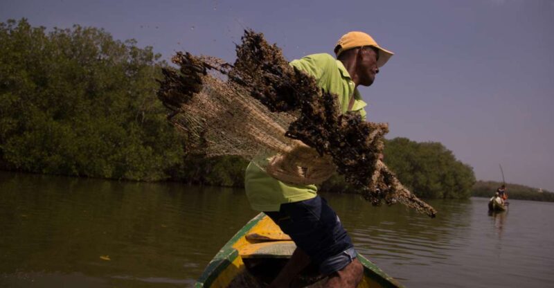 Fishing With Locals - Guided Activities