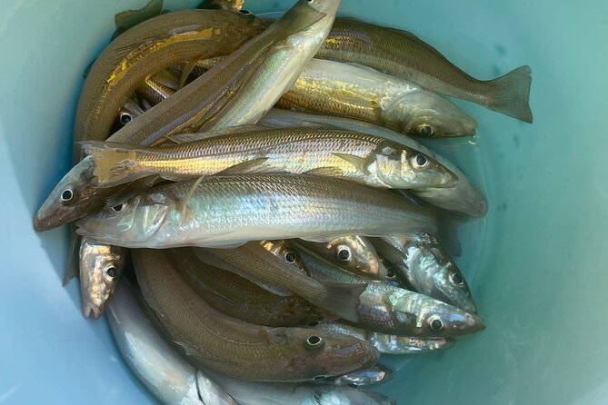 Fishing With Mt. Fuji Views and Japanese Home Cooking Experience - Clothing and Preparation Recommendations