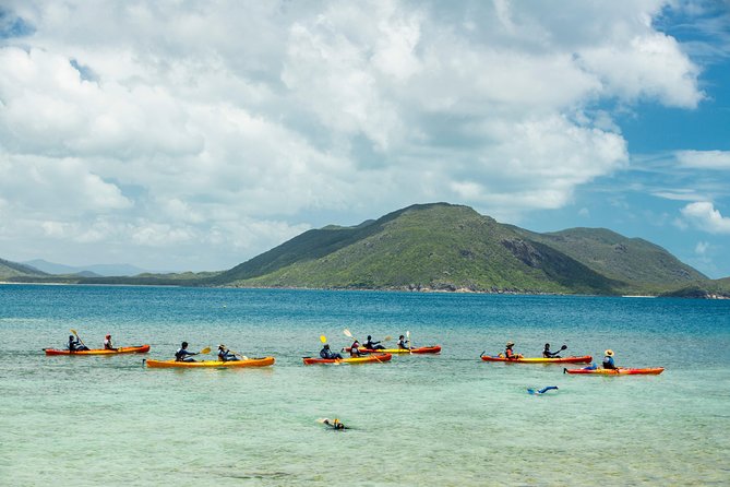Fitzroy Island Day Tour From Cairns - Accessibility and Dietary