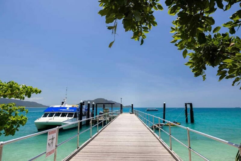 Fitzroy Island: Full-Day Ferry & Snorkel Safari Guided Tour - An In-Depth Look at the Tour Experience