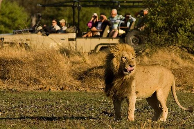 Five-Day Hwange NP, Chobe NP and Victoria Falls Combo - Inclusions and Amenities