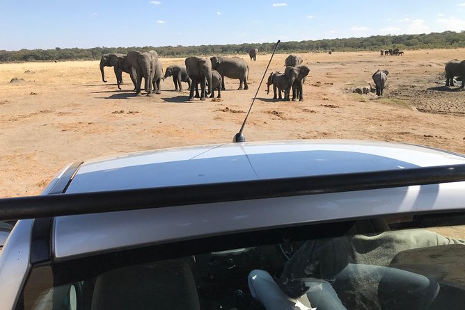 Five-Day Hwange NP, Chobe NP and Victoria Falls Combo - Booking Information