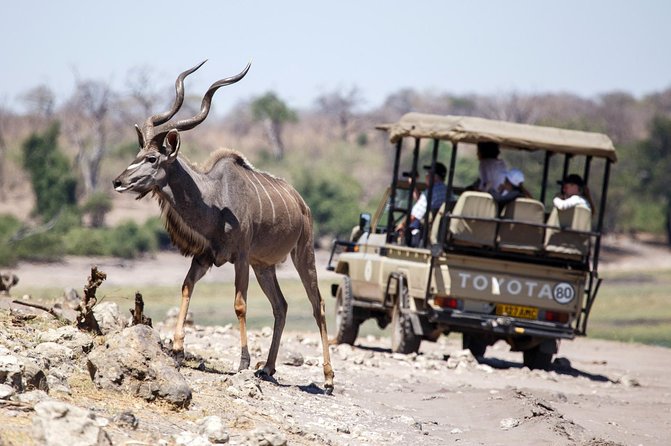 Five-Day Hwange NP, Chobe NP and Victoria Falls Combo - Scenic Experiences