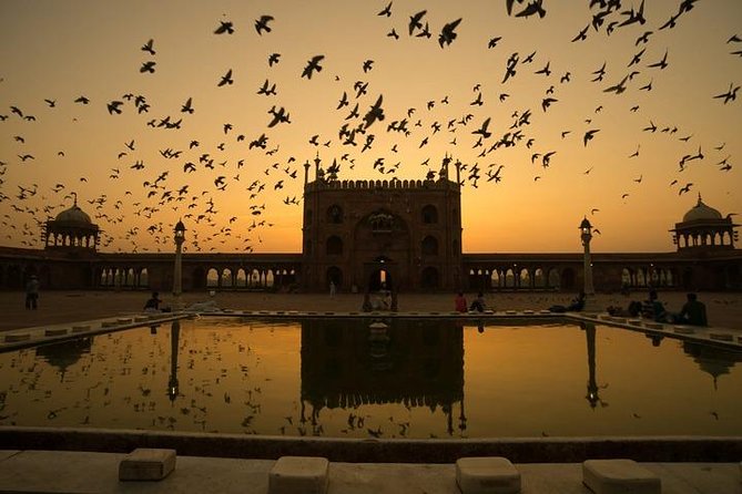 Five Day - Private Luxury Golden Triangle Tour to Agra & Jaipur From New Delhi. - Private Luxury and Personalized Service