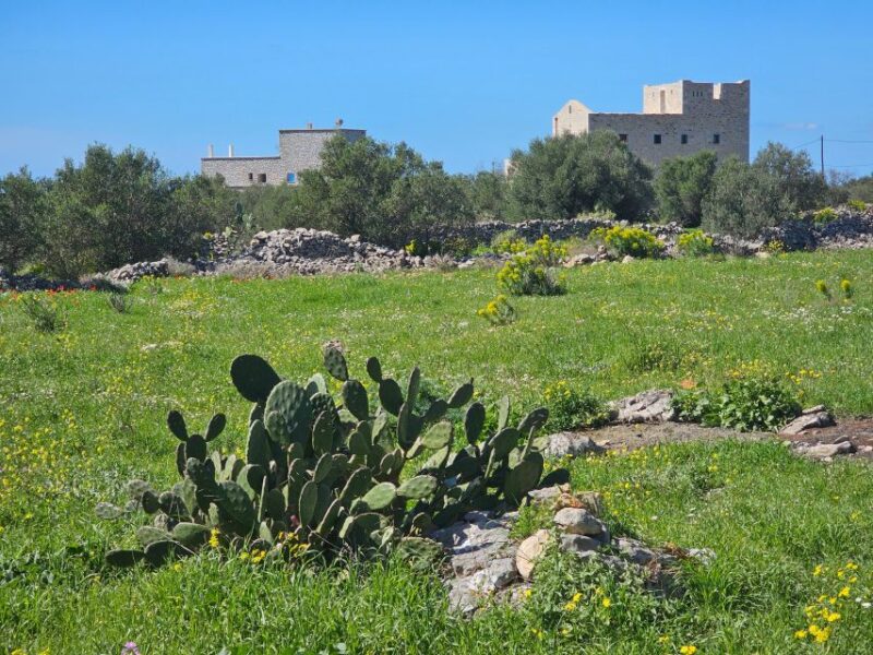 Five Days of Culinary Exploration in Laconias Peloponnese - Taking in Local Flavors