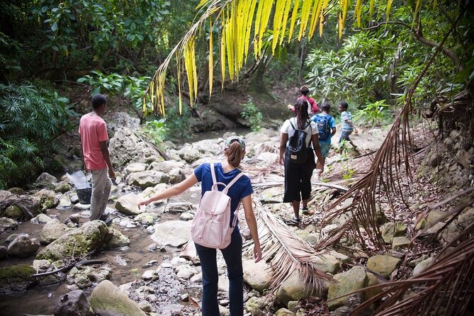 Five Hour Day Pass: 3 Hour Fun Hike and Challenges/Great Experiences/Bajan Lunch - Pickup Information