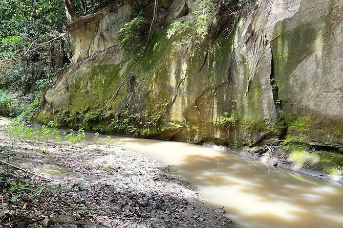 Five Hour Day Pass: 3 Hour Fun Hike and Challenges/Great Experiences/Bajan Lunch - Booking and Cancellation Policies