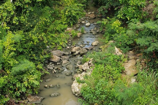Five Hour Day Pass: 3 Hour Fun Hike and Challenges/Great Experiences/Bajan Lunch - Questions About Your Stay