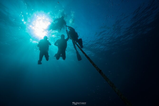 Five Hour Diving Class for Beginners in Morelos - Important Health and Safety Information