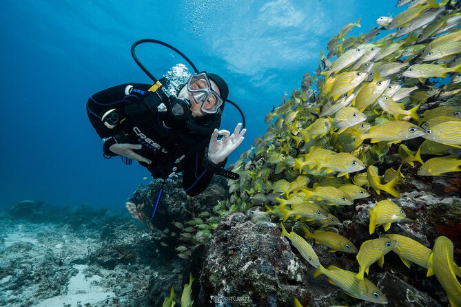 Five Hour Diving Class for Beginners in Morelos - Customer Reviews and Ratings