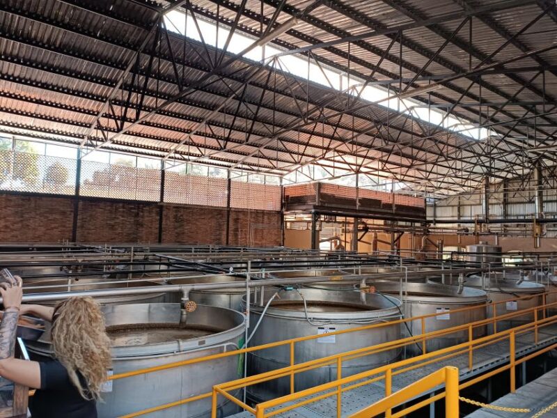 Five-Star Factory: Meet Orendain Tequila. - Inclusions and Participant Information
