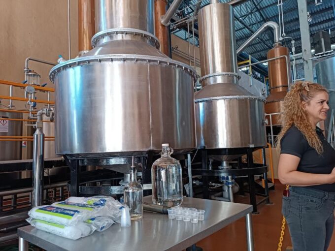 Five-Star Factory: Meet Orendain Tequila. - Capturing Memories in Agave Fields